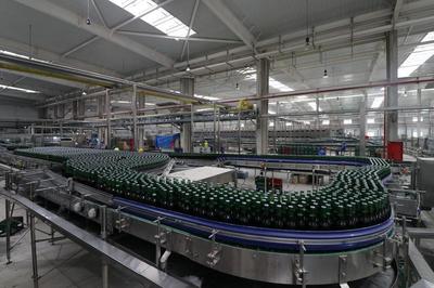 青岛啤酒年产100万千升项目一期投产 酿造新篇章，迈向高质量发展