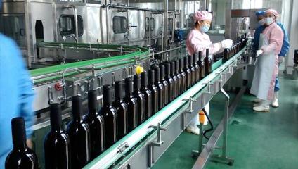 从山楂到佳酿 现代化山楂酒生产线全景解析