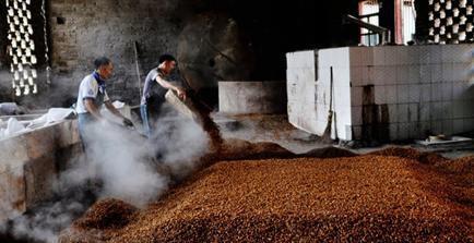 茅台镇散酒真相揭秘 种类与鉴别指南，避开消费陷阱！